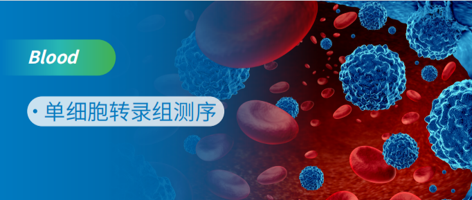 单细胞RNA和VDJ联合分析揭示儿童急性T白血病演化模式及耐药新机制