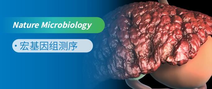狄氏副拟杆菌使用膳食菊粉通过其代谢物十五烷酸抑制NASH