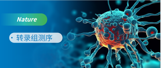 RNA-seq助力癌细胞凋亡研究登顶Nature！！！