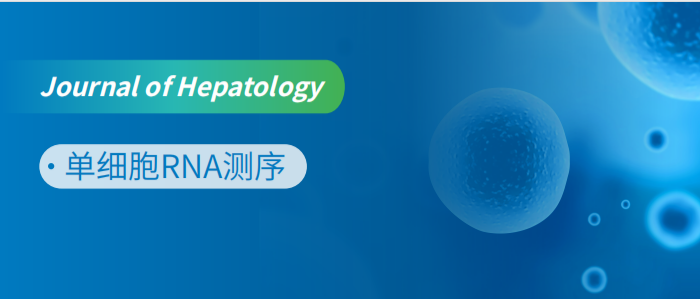单细胞揭示内毒素血症对肝细胞的调控作用