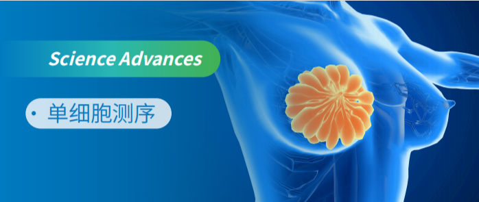 单细胞测序助力乳腺癌免疫治疗新靶点发现