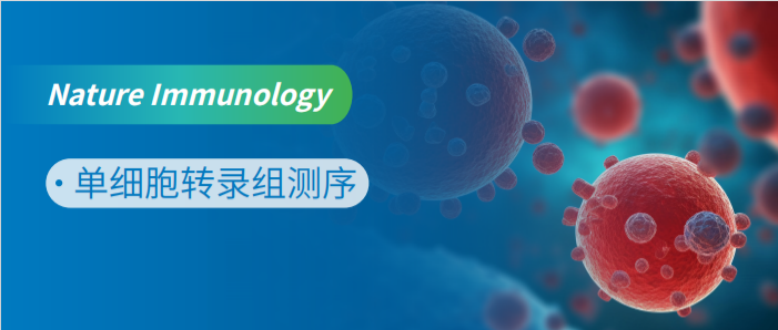 单细胞解码人类发育免疫红细胞亚群