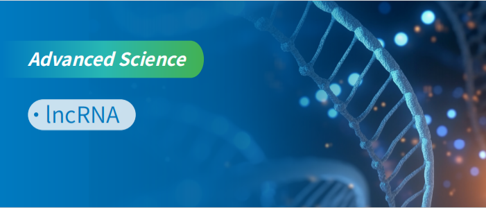 翻译组揭示隐藏在 lncRNA 中的蛋白调控转录因子 RNA “癌性”剪切机制